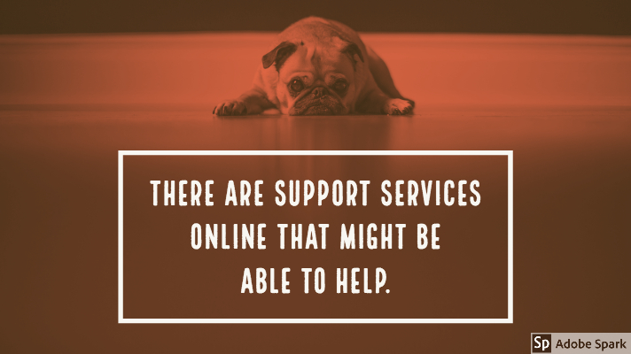 Picture of french bulldog lying down with face resting on the floor in a sad expression. With a red hue on the photo. Caption underneath says: 
"There are support services online that might be able to help"
