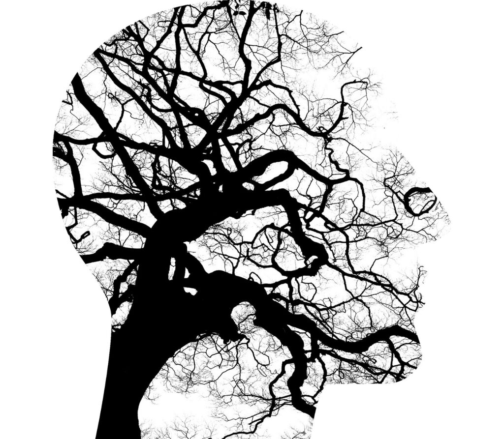 Outline of a head shape with branches of a leafless tree instead of a face.