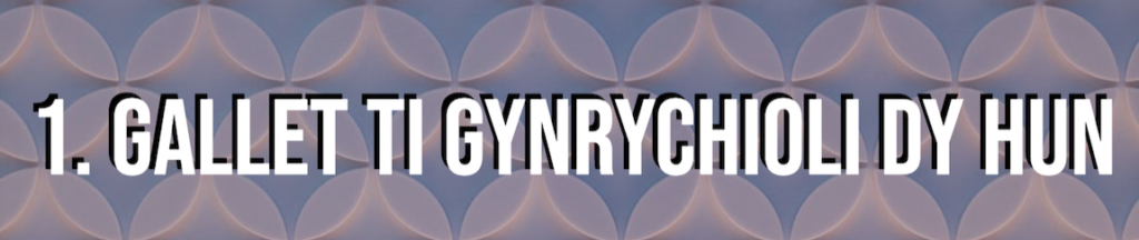 Baner gyda'r geiriau 1. Gallet ti gynrychioli dy hun 