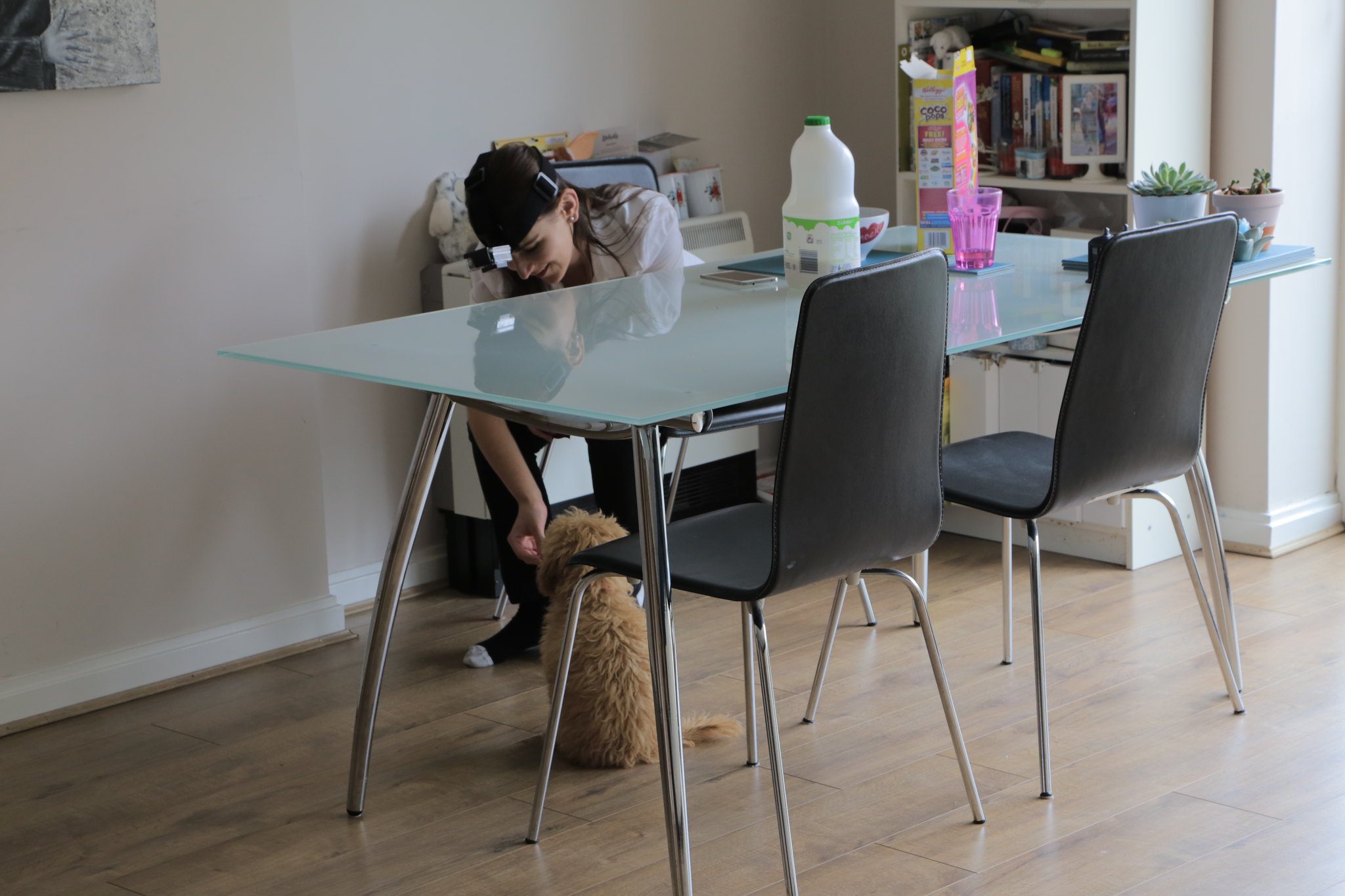 A young girl in school uniform with a camera strapped to her forehead to take point of view film. She is sat at a table with cereal and milk laid out. She is leaning down feeding a dog under the table.