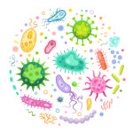 Pathogen microorganisms set. Bacteria, virus, germ, cancer cells, coronavirus in round border. Can be used for epidemic, healthcare, illness, microbiology topics