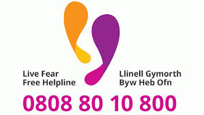 Live Fear Free logo for say no more to domestic abuse blog