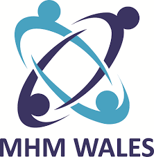 Safe Spaces logo for say no more to domestic abuse blog