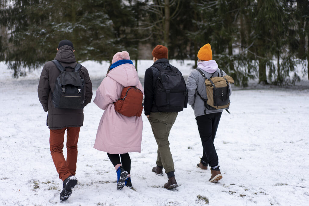 Four friends walking in a snowy forest