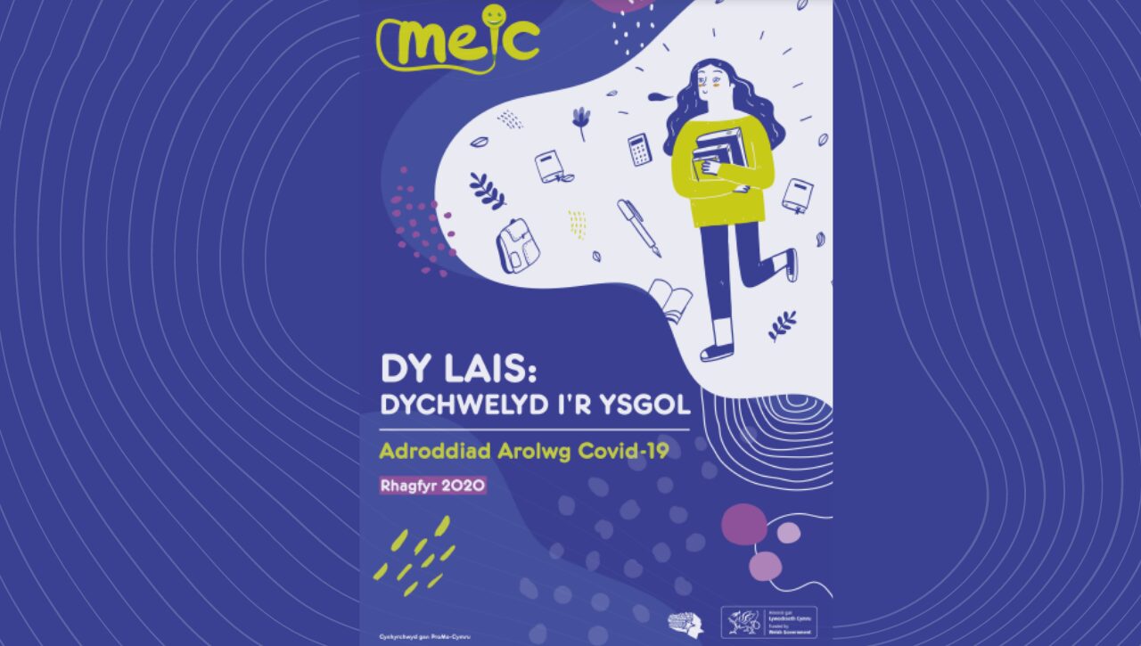 Dy Lais: Dychwelyd I'r Ysgol Report