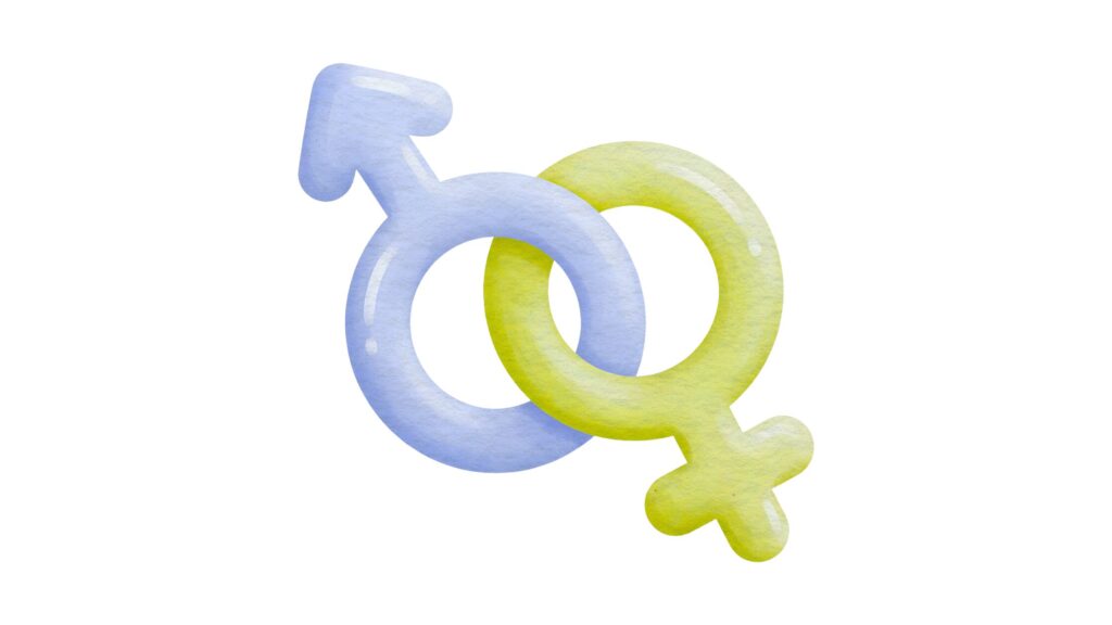 Male and female icons