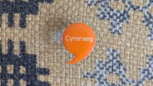 Cymraeg orange badge