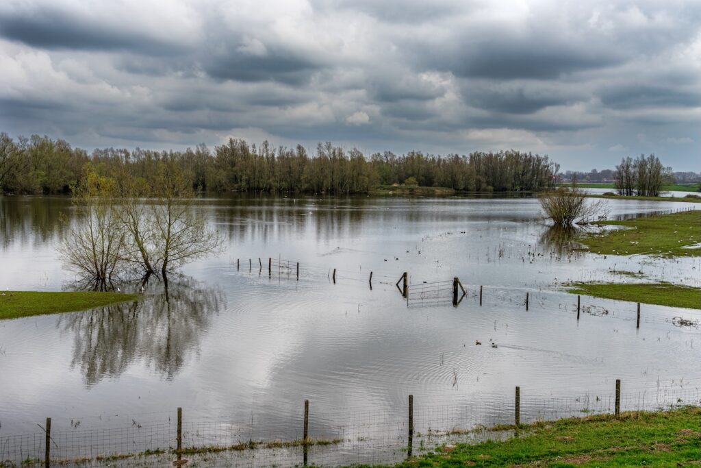 The waal river bed in winter on a overcast day